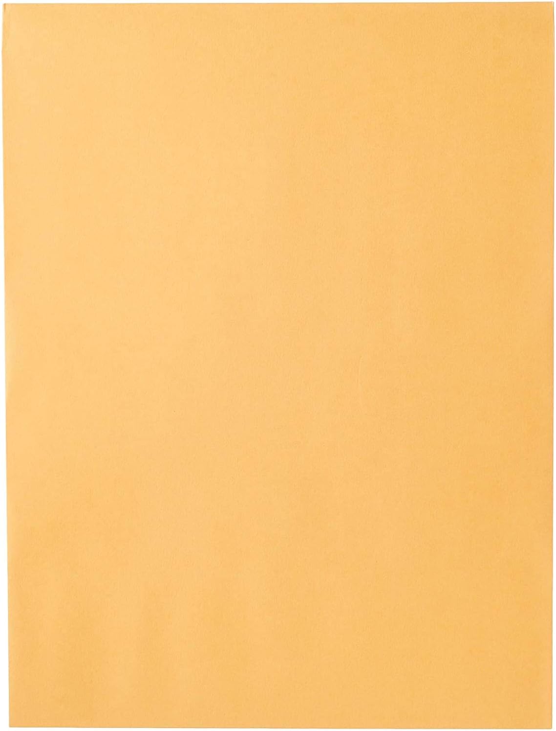 Mead Envelopes, 9" x 12", Clasp Closure, Brown Kraft All-PLrpose 24-lb Paper Mailing Envelopes, 20 Count (76020)