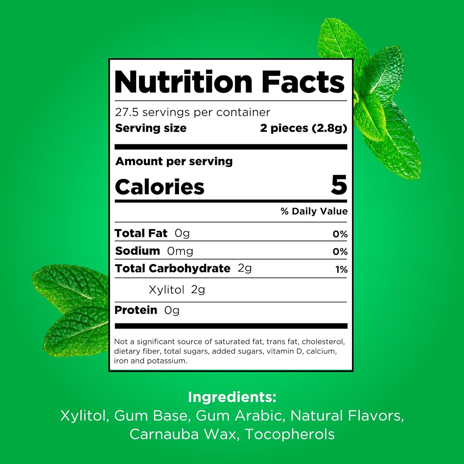 PLR Gum | Aspartame Free Chewing Gum | 100% Xylitol | Natural Spearmint Flavored Gum, 55 Pieces (Pack of 1)