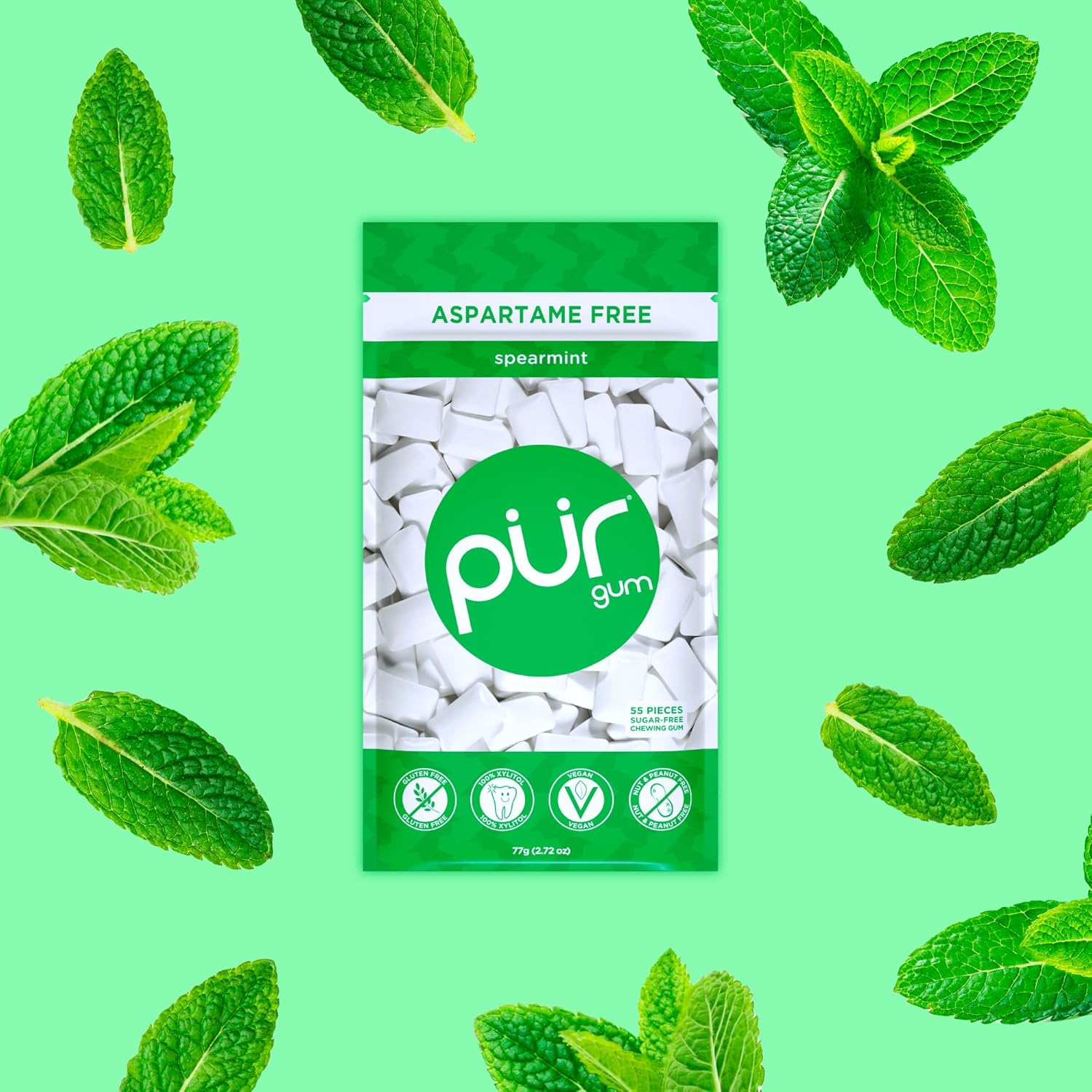 PLR Gum | Aspartame Free Chewing Gum | 100% Xylitol | Natural Spearmint Flavored Gum, 55 Pieces (Pack of 1)