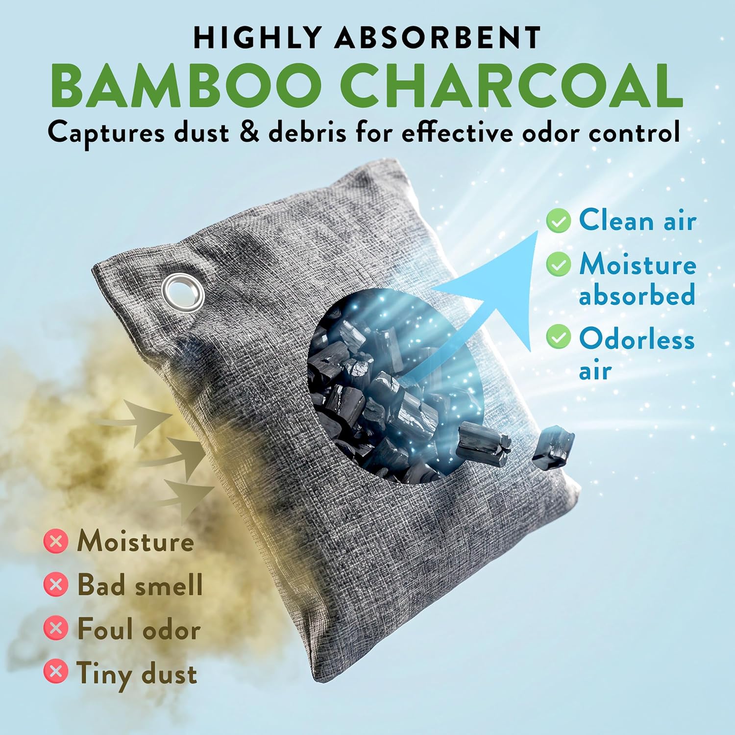 Charcoal Odor Absorber for Strong Odor (6 Pack, 100g each), Bamboo Charcoal Air PLrifying Bag, Basement Musty Odor Eliminator Deodorizer, Activated Charcoal Odor Absorber for Closet, Shoe, Car